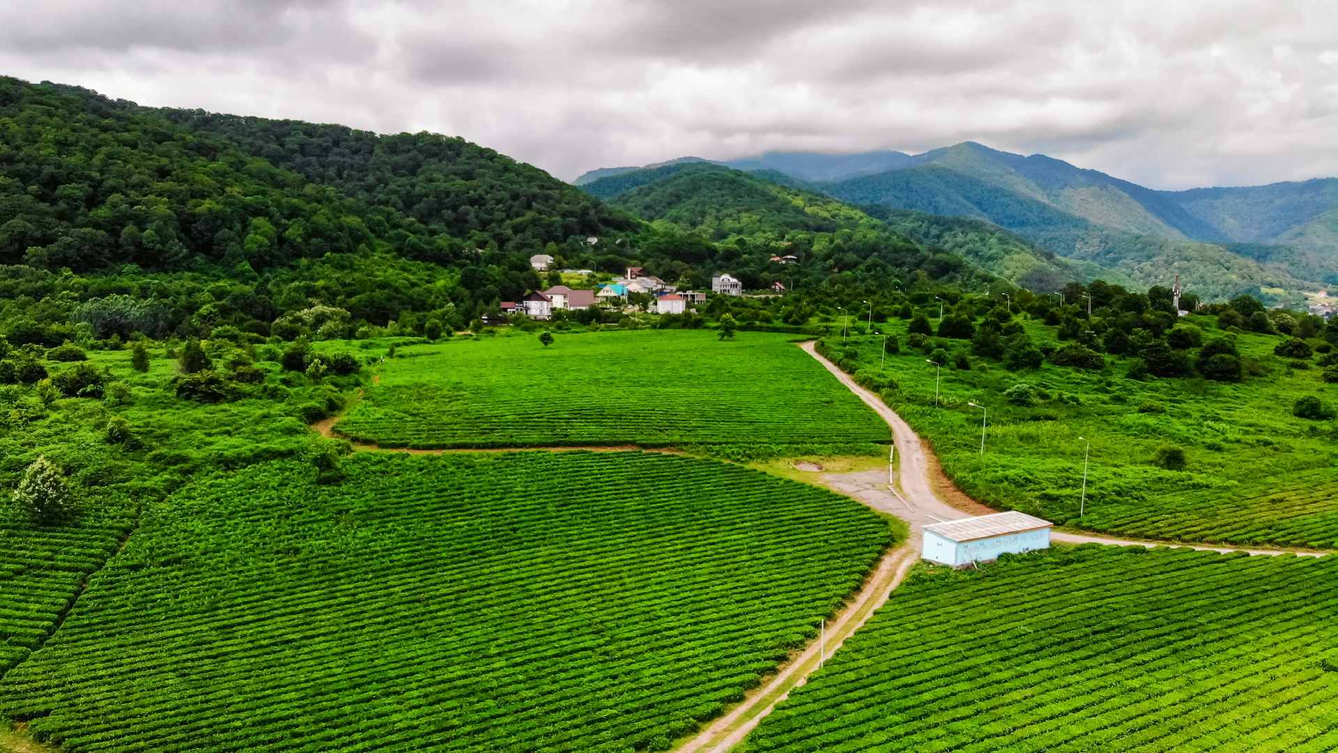 agro-view